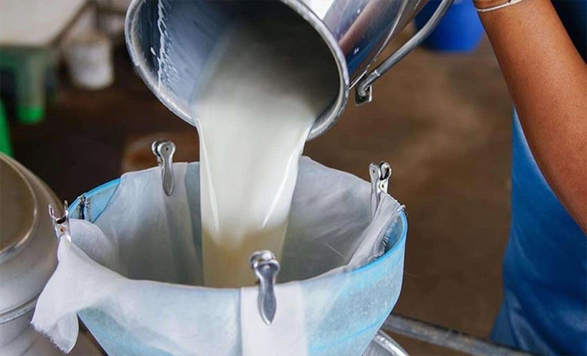 Türkiye İstatistik Kurumu (TÜİK), bu yılın ağustos ayına ait süt ve süt üretimi verilerini açıkladı.