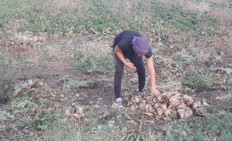 LI ERGANÎYÊ DEMSALA ÇINÎNA SILQA ŞEKIR DEST PÊ KIR