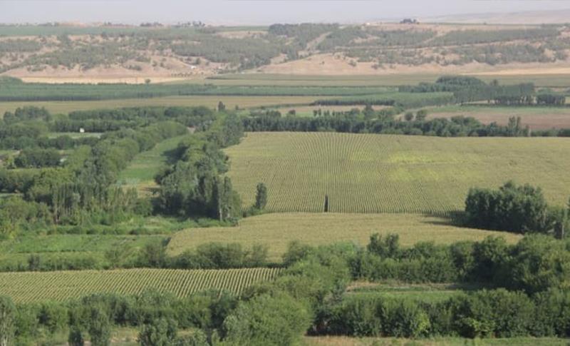 ZMO AMED ŞUBE BAŞKANI UCAMAN: DÜ İMAR PLANI GELECEK İÇİN RİSKLİV