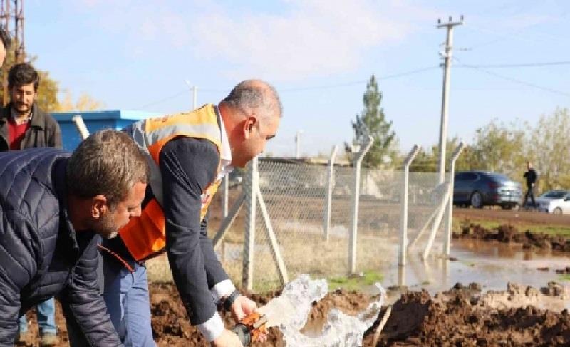 NEV BAHÇE PARKINDA SEBZE VE MEYVE ÜRETİMİNE BAŞLANDI