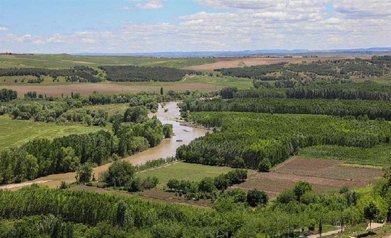 LI DIJÎ XEBATÊN DI BAXÇEYÊN HEWSELÊ DE GILÎYÊ SÛC KIRIN