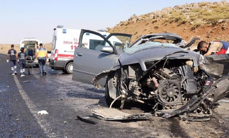 LI PASÛRÊ MÎNÎBUS QELIBÎ! 2 MIRÎ, 13 BIRÎNDAR