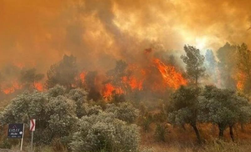 LI HATAY, MÊRSÎN Û ÇANAKKALEYÊ AGIR BI DARISTANAN KETIYE Û ŞEWAT DIDOME