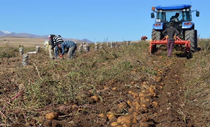 BIHAYÊN BERHEMÊN ÇANDINÎYÊ LI GOR MEHA BORÎ JI SEDÎ 8,03 ZÊDE BÛYE