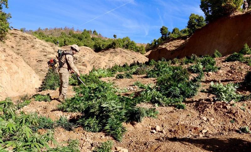 DİYARBAKIR'DA OPERASYON: YÜKLÜ MİKTARDA UYUŞTURUCU MADDE YAKALANDI!