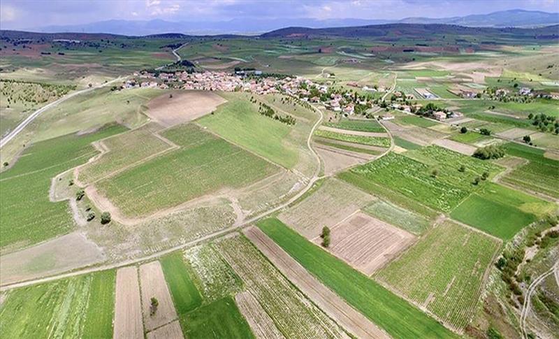 LI AMED Û 41 BAJARAN WÊ GELEK ERD JI ALÎYÊ TOKÎ VE BÊN FIROTIN