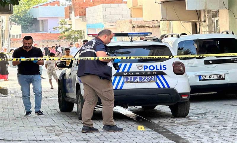 LI AMEDÊ DI NAVBERA DU MALBATÊN CÎRAN DE ŞERÊ BI ÇEK! 2 BIRÎNDAR