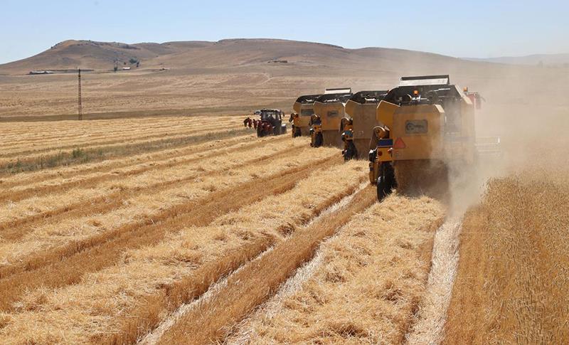 PERGALA TOMARKIRINA COTKARAN DAWÎYA HEFTÊ JÎ AKTÎF BE