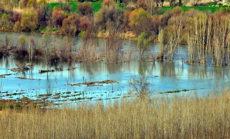 DİCLE`YE 10 GÜNDE BEREKET YAĞDI