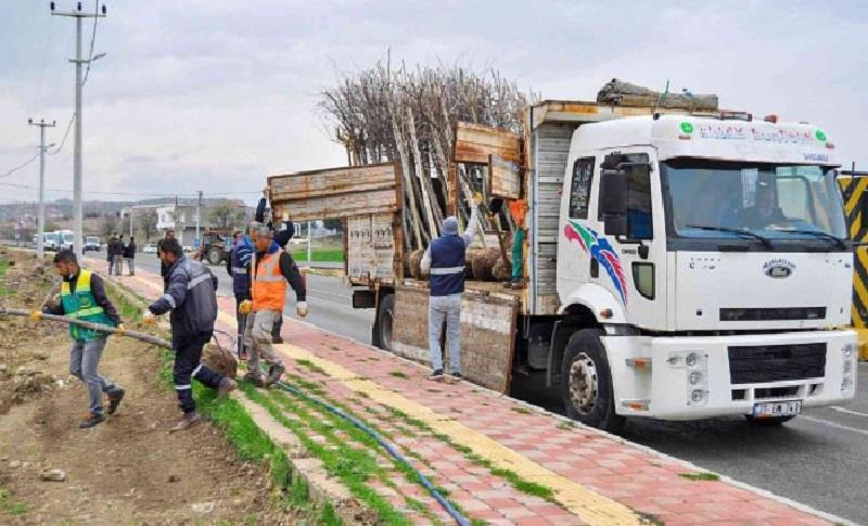 DİYARBAKIR’DA 6 BİN AĞAÇ DİKİMİ YAPILACAK