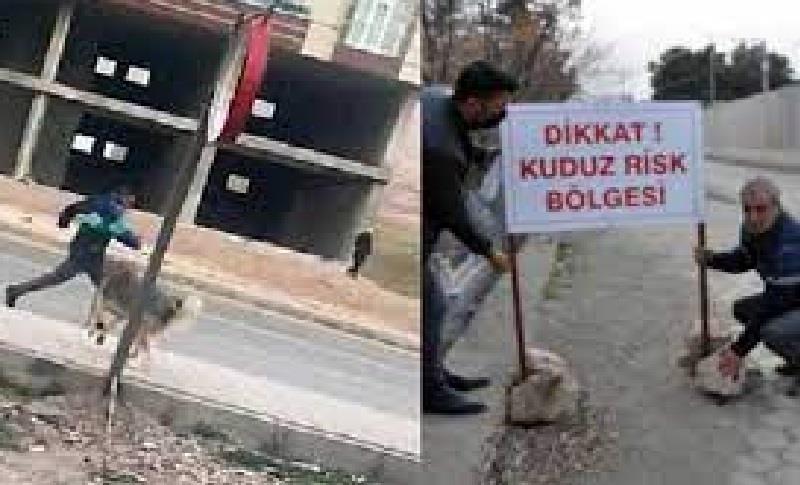 MARDİN'DE BİR MAHALLEYE KUDUZ KARANTİNASI