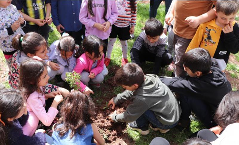 MED-DER'İN ÖĞRENCİLERİNDEN FİDAN DİKME KAMPANYASINA DESTEK