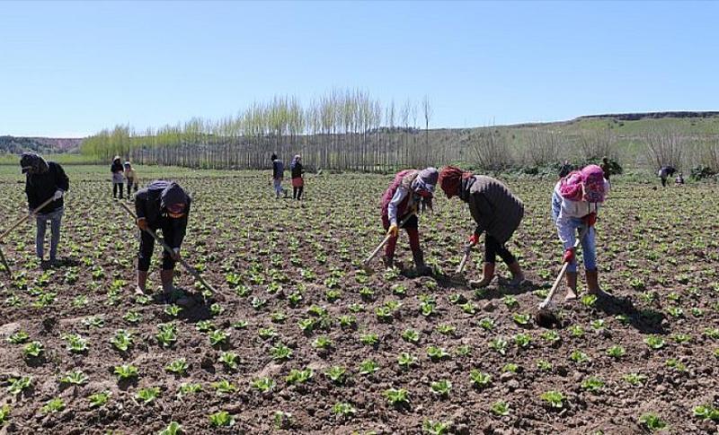 HEVSEL’DE ÇALIŞAN KADINLAR EMEKLERİNİN SÖMÜRÜLDÜĞÜNDEN ŞİKÂYETÇİ