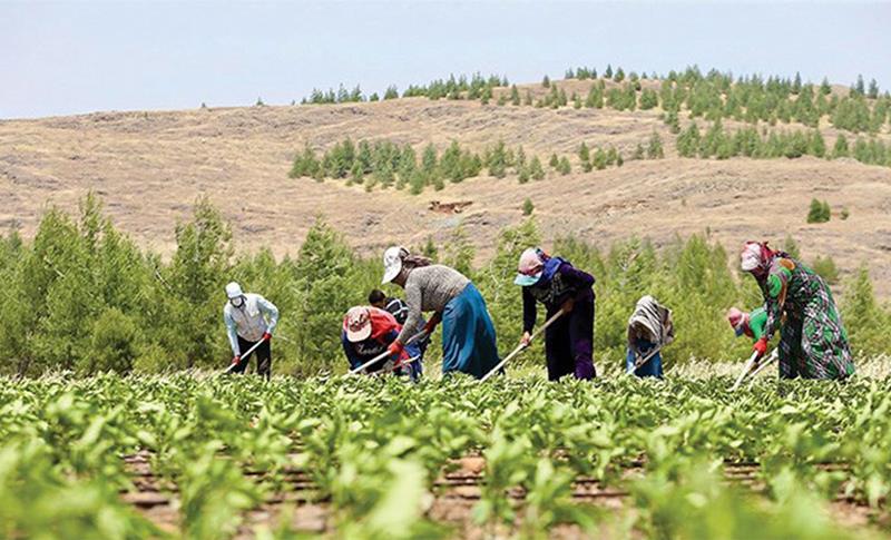 TEPAV: LI TIRKIYEYÊ HEJMARA COTKARAN DAKET BINÊ 500 HEZARÎ