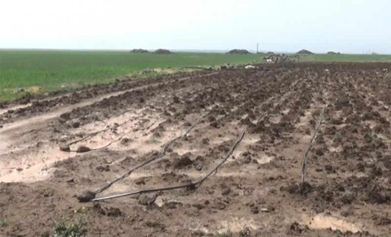 LI TAXA PÎRÎNÇLÎKÊ BARÎNA TEYROKÊ PÊK HAT! ŞITLÊN DI ERD DE ZIRARÊ DÎTIN