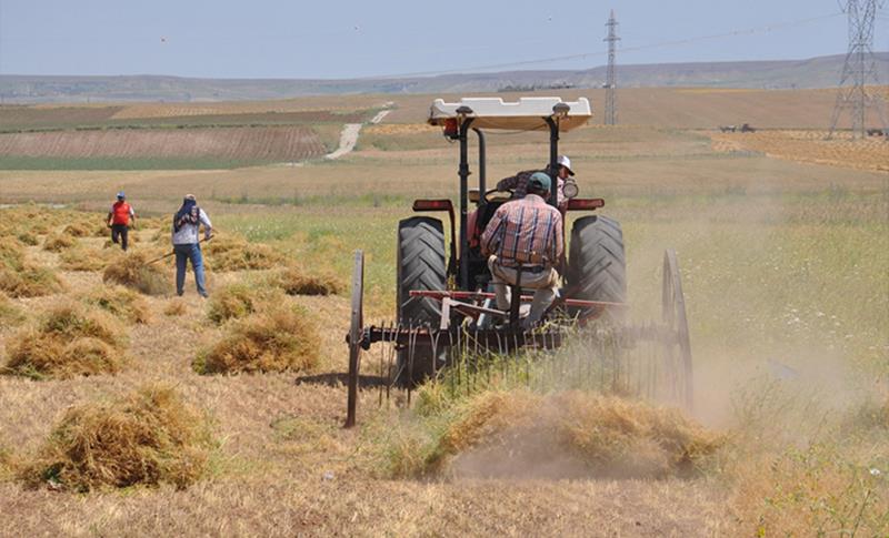 LI ÊLIHÊ PALEHÎYA EWIL BI NÎSKÊ DEST PÊ KIR