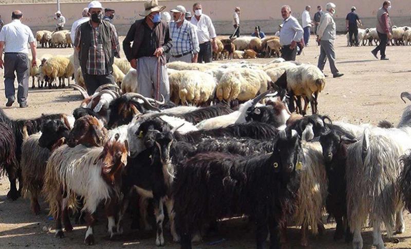 ASGARİ ÜCRETİN ÜSTÜNDEKİ KURBAN FİYATLARI SATIŞLARI DÜŞÜRDÜ