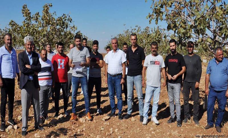 GUNDÎYAN NAXWAZIN ZEVÎYÊ WAN Ê ÇANDÎ RADESTÊ TOKÎ'YÊ BIBE